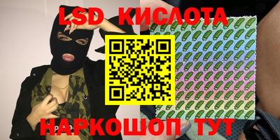 прущие грибы Чебоксары