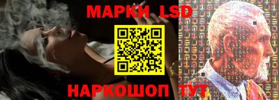 прущие грибы Чебоксары