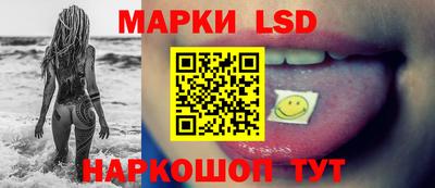 прущие грибы Чебоксары