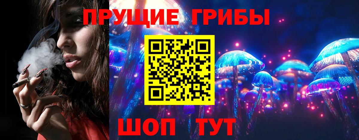 Санкт-Петербург  Псилоцибиновые грибы мицелий  где можно купить наркотик  Вход с VPN  Псилоцибиновые грибы ЛСД 