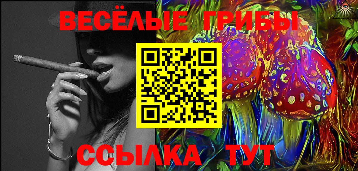 Псилоцибиновые грибы GOLDEN TEACHER Санкт-Петербург